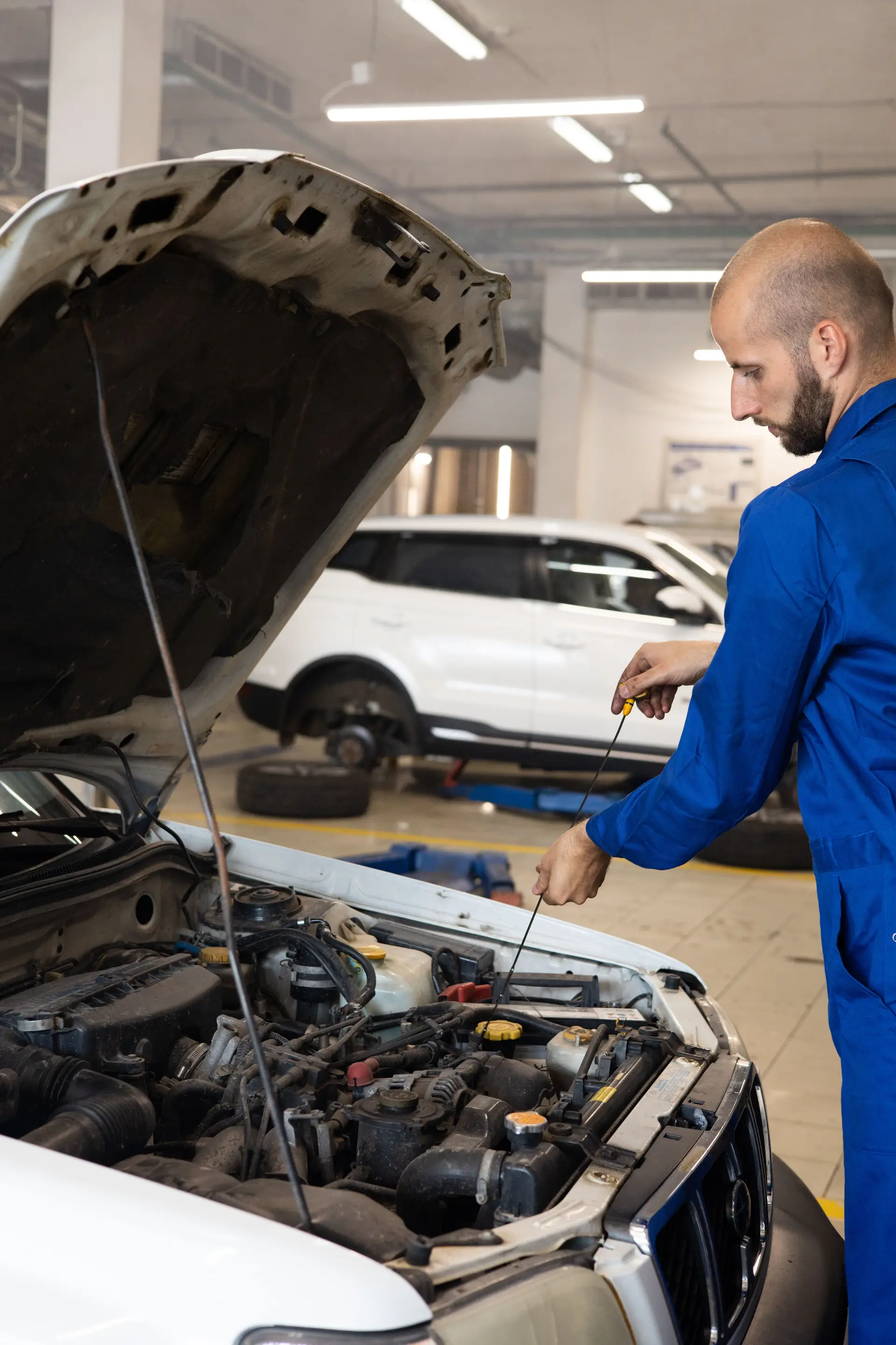 Light commercial vehicle service